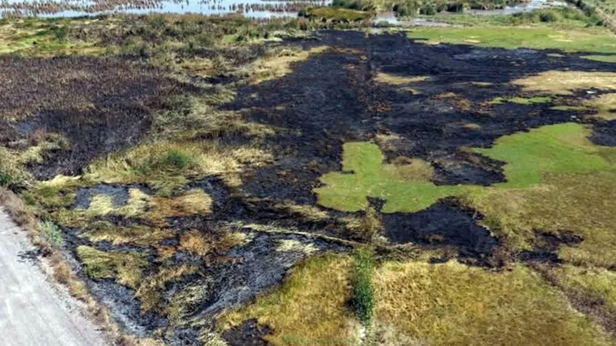 Incendios y vandalismo ponen en riesgo al Lago de Texcoco