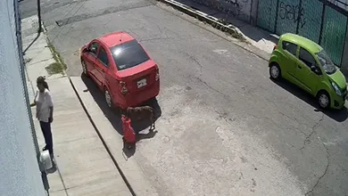[VIDEO] Captan a perrito robando pollo en Valle de Chalco