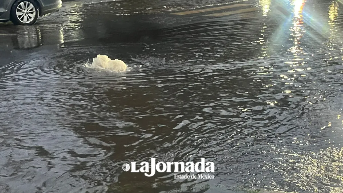 Aumenta intensidad de lluvias en la última década