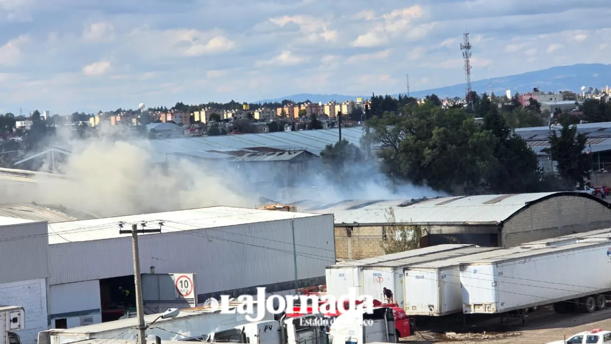 Zona del desplome de avioneta considerada de alto riesgo