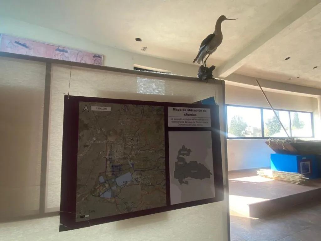 Exposición en Chimalhuacán: Rescatan la memoria lacustre del Lago de Texcoco