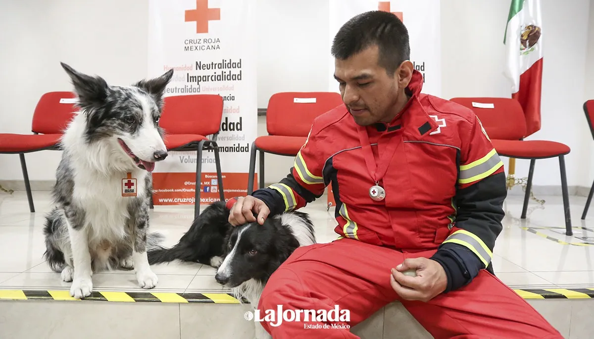 Equipo de rescatistas de la Cruz Roja regresan de Turquía