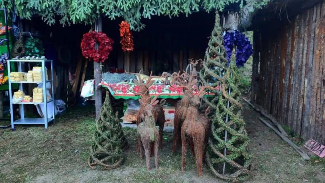 Edomex: Arranca venta de árboles de Navidad en el Mirador de Tepetlaoxtoc