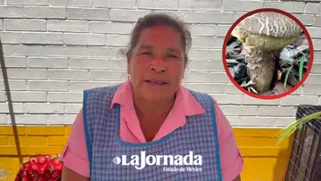 Demanda de hongos silvestres en Edomex aumenta por temporada