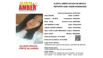 Alerta Amber: Se busca a Allison Violeta Fó​​rtiz Villagrán, desaparecida en  Cuautitlán Izcalli