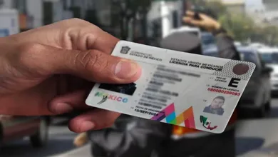 Estos son los trámites que puedes hacer a través del Chatbot Movimex