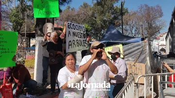 Tultitlán: Habitantes piden frene la tala de árboles