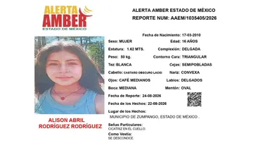 Alerta Amber: Se busca a Alison Abril Rodríguez Rodríguez; desapareció en Zumpango