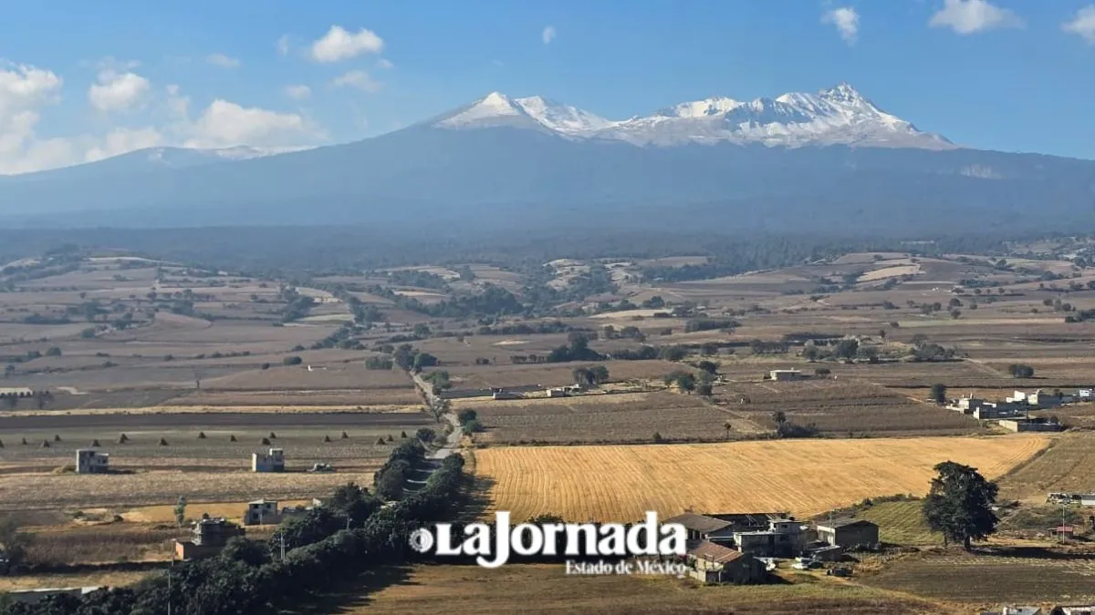 Ciudadanía debería adoptar pequeñas acciones para mejorar el ambiente: Pérez Castillo
