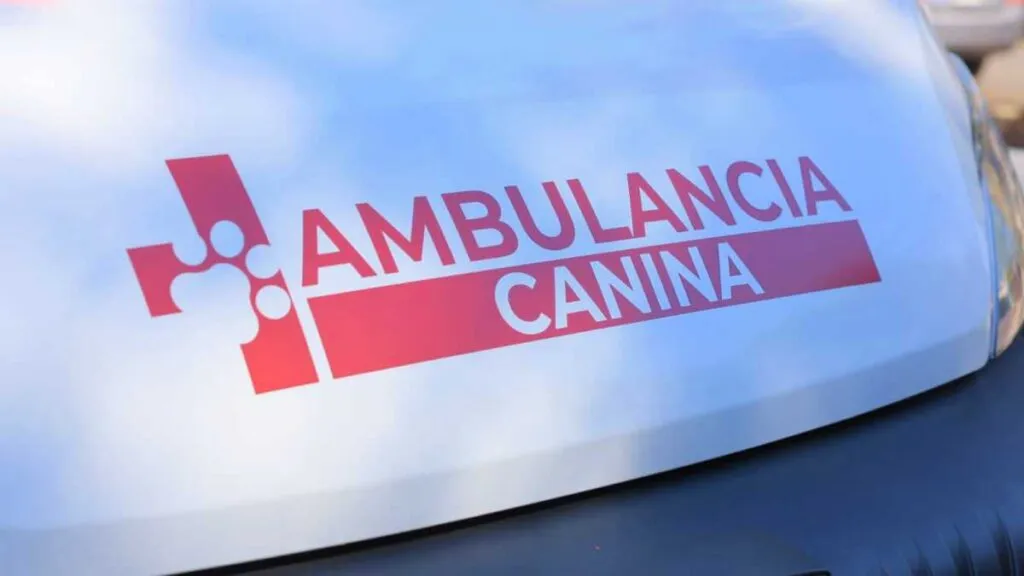 Ecatepec pone en marcha ambulancias para rescate y atención de mascotas