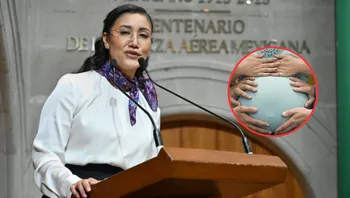 Proponen 12 años de cárcel por “explotación reproductiva” en Edomex: PAN busca prohibir maternidad subrogada comercial