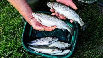 Edomex produce más de 4 mil toneladas de pescado para Cuaresma
