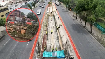 Vecinos de Tlalnepantla rechazan tala de árboles por obras [VIDEOS]