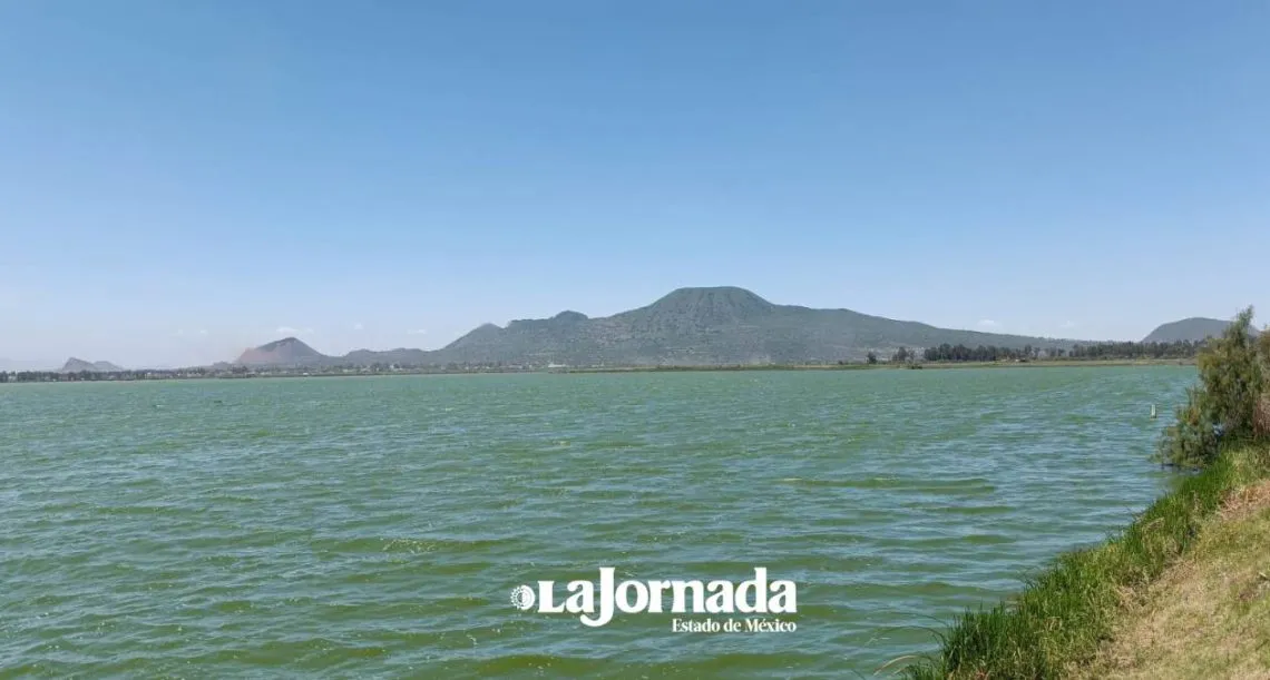 Rescate del Lago Xico, para abastecer y evitar inundaciones: Delfina Gómez