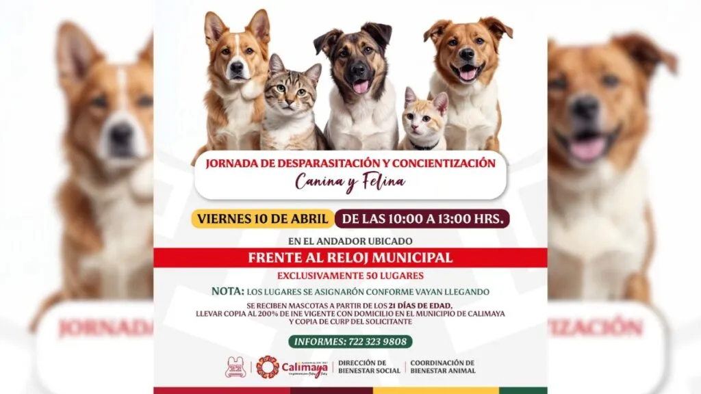 Calimaya anuncia jornada de desparasitación canina y felina