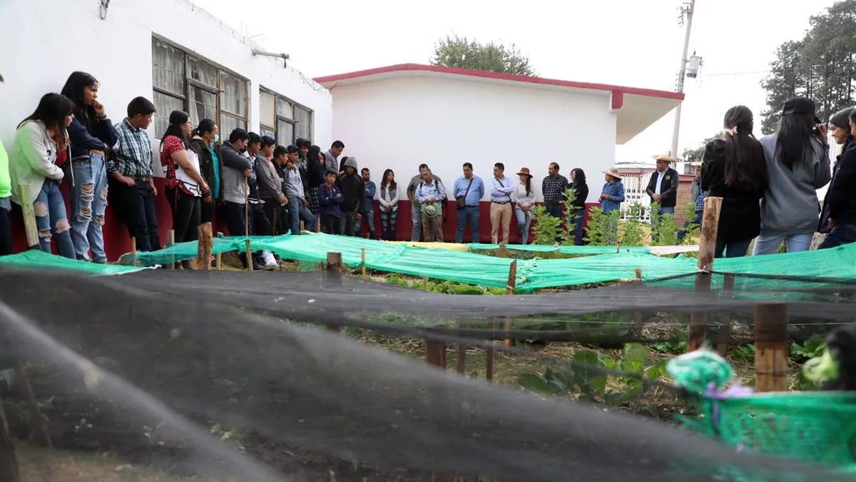 Texcapilla: Huertos escolares tienen su primera cosecha