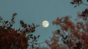 Mayo se perfila como un mes ideal para reconectar con el cielo y disfrutar de los misterios del universo.