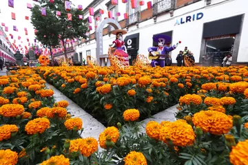 ¡Únete a la fiesta de Toluca y disfruta el alfeñique al máximo!