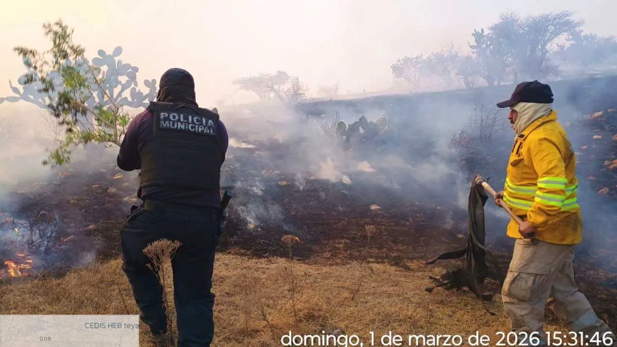Incendio arrasó con 50 hectáreas en Tepotzotlán; habrá denuncia formal