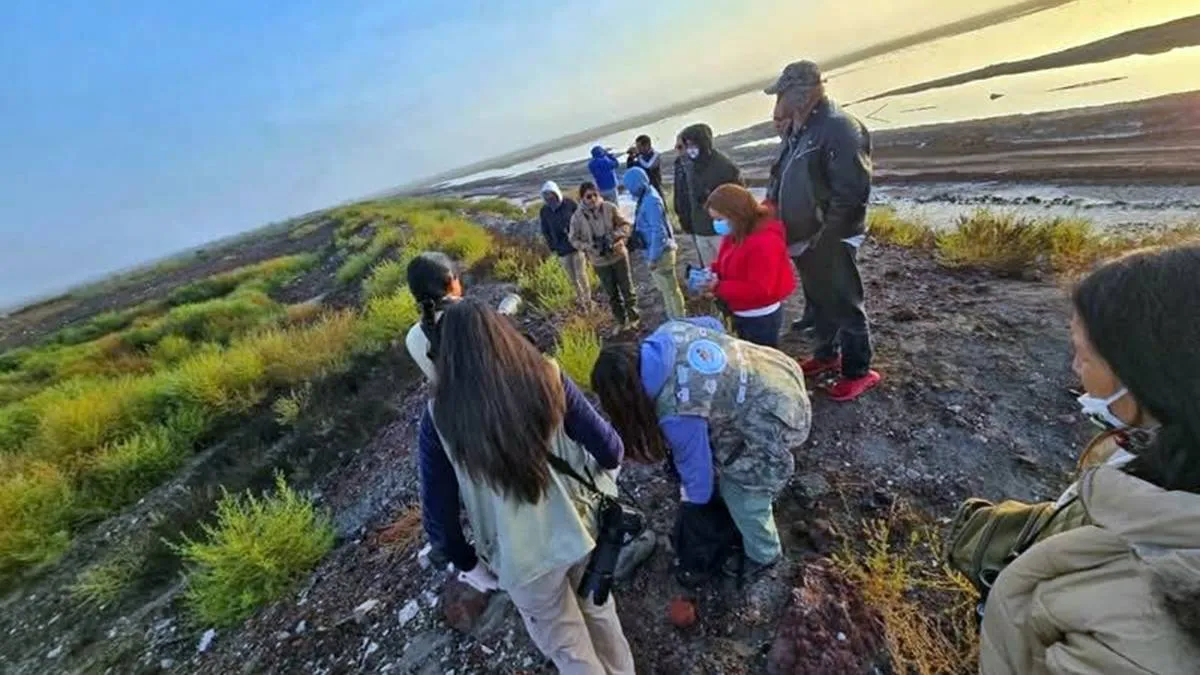 El Caracol de Ecatepec es rescatado y lo convierten en humedal