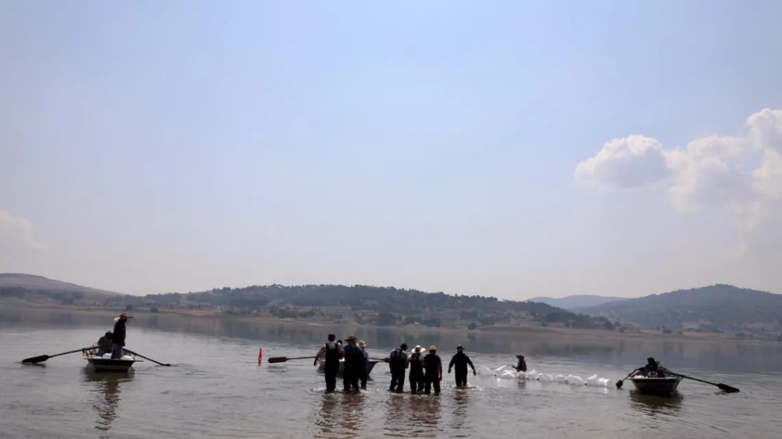 Campesinos mexiquenses conservan las tierras de cultivo a través de la agroecología