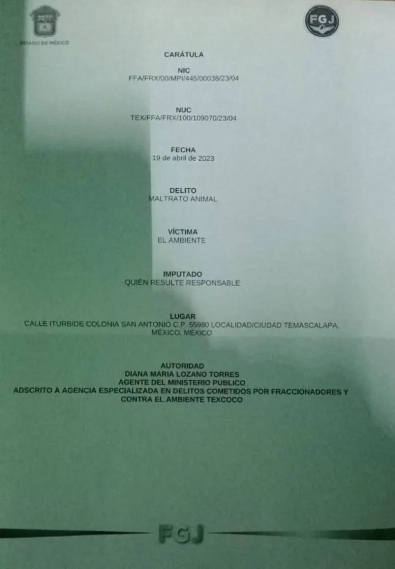 Envenenan a siete perros en Temascalapa