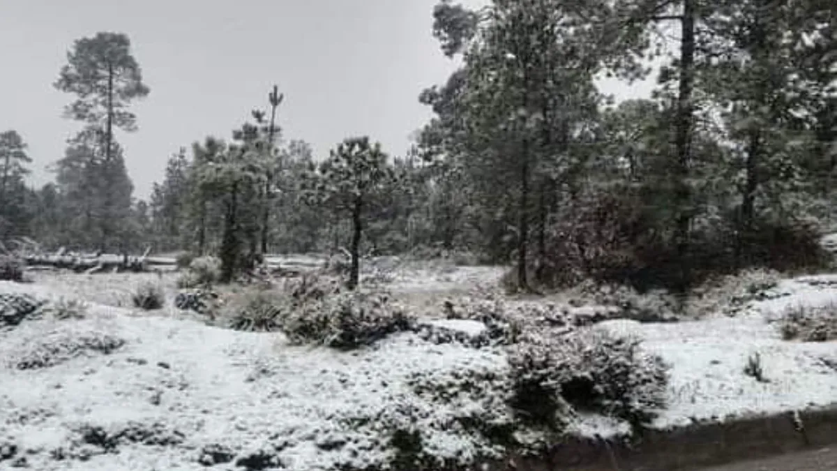 La parte alta de los bosques de Tlazala de Fabela se vistieron de blanco