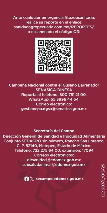 Detectan primer caso de gusano barrenador en el Edomex, activan alerta sanitaria