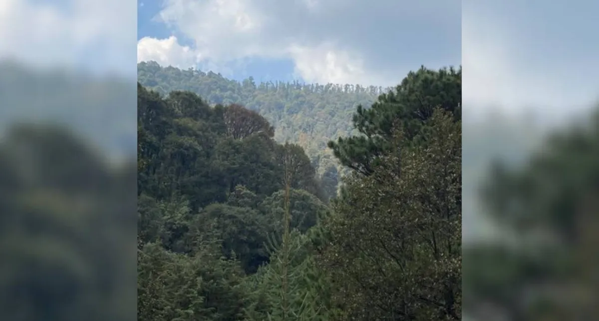 Acciones jurídicas para proteger la reserva “Espíritu Santo” en Jilotzingo