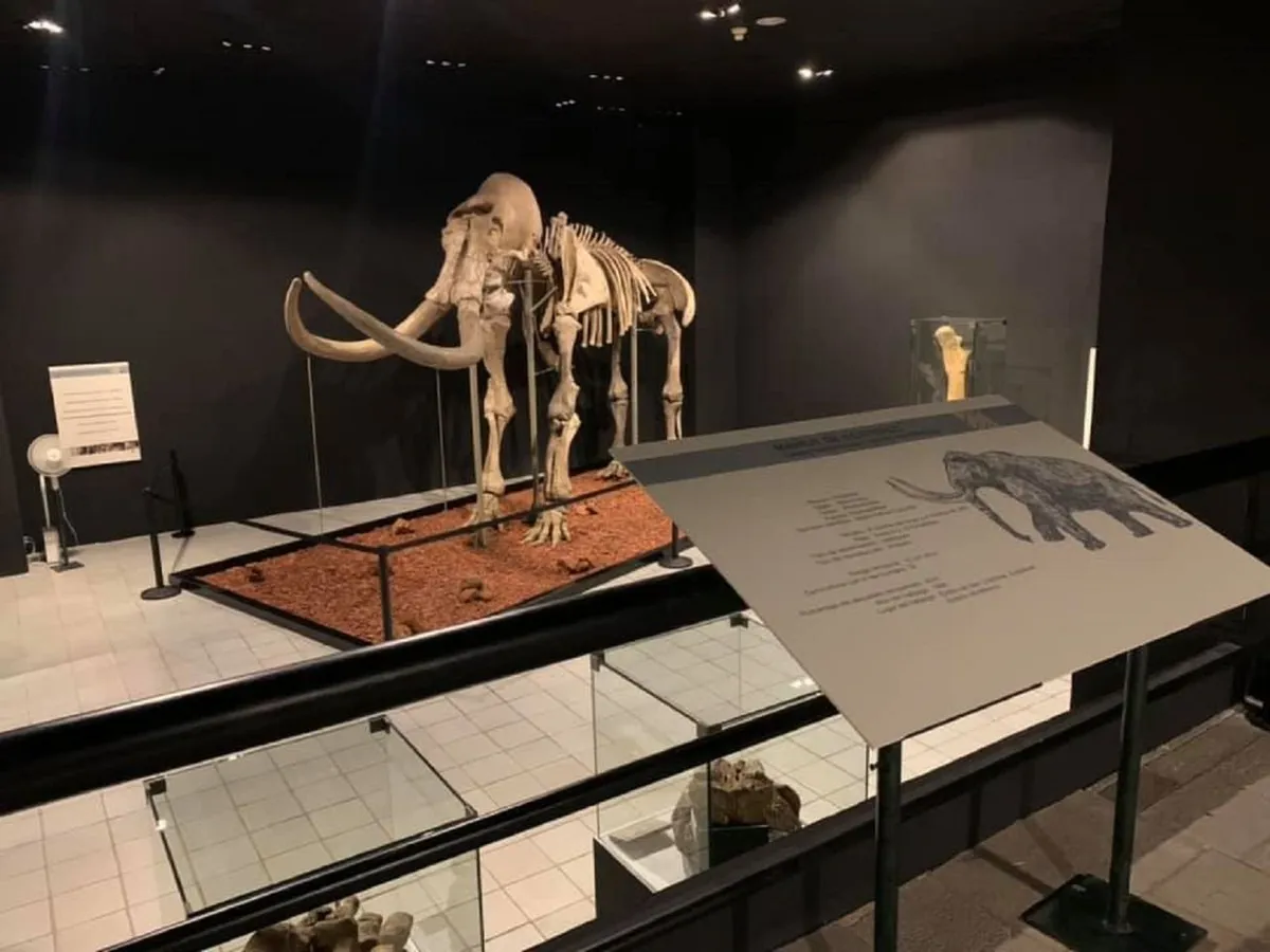museo