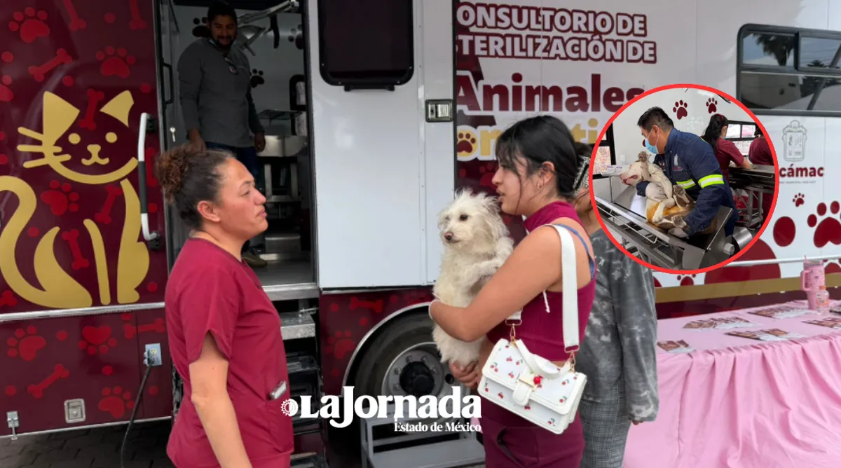 Tecámac estrena quirófano móvil de última generación: 90 cirugías de mascotas al día