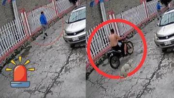 Vecinos de Ixtapaluca denuncian falta de seguridad tras constantes asaltos