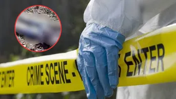 Localizan el cuerpo de una joven sin identificar en Tlalmanalco, buscan a sus familiares [FOTO]