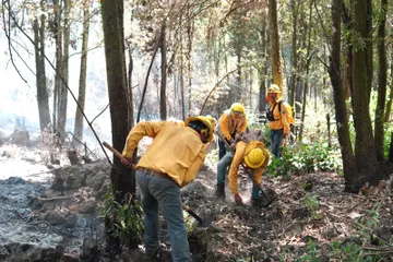 Brechas cortafuego, una herramienta clave en la lucha contra los incendios forestales