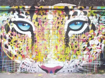 El río y el jaguar