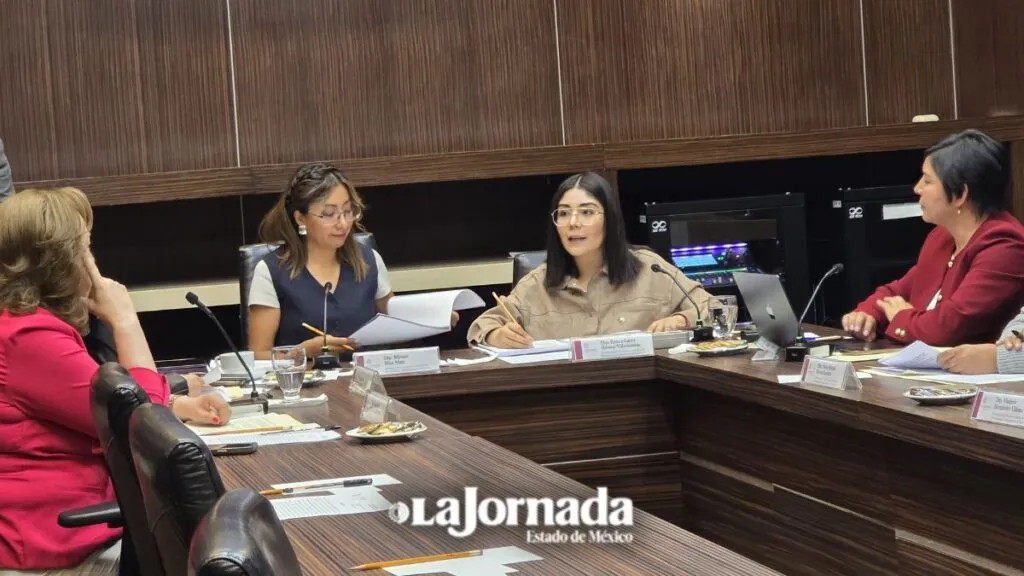 Avanzan reformas en materia de violencia vicaria en comisiones Legislativas