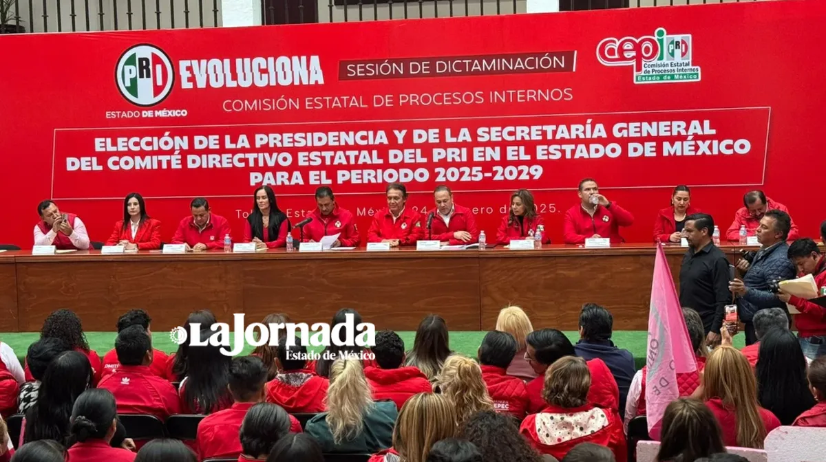 Se queda Cristina Ruiz al frente del PRI, fue registro único