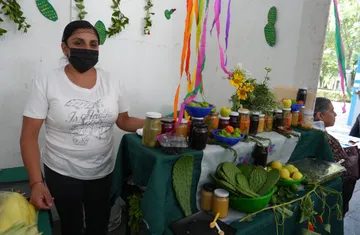 Buscan rescatar al nopal y abrirle nuevos mercados desde la Universidad Autónoma Chapingo