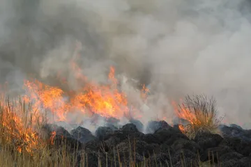 Incendios forestales