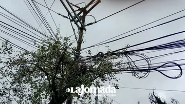 Ayuntamiento de Toluca va contra telarañas de cables en los postes
