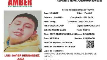 Alerta Amber: Se busca a Luis Javier Hernández Luna, desapareció en Ecatepec