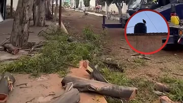 Vecinos de Chalco acusan al ayuntamiento de ecocidio