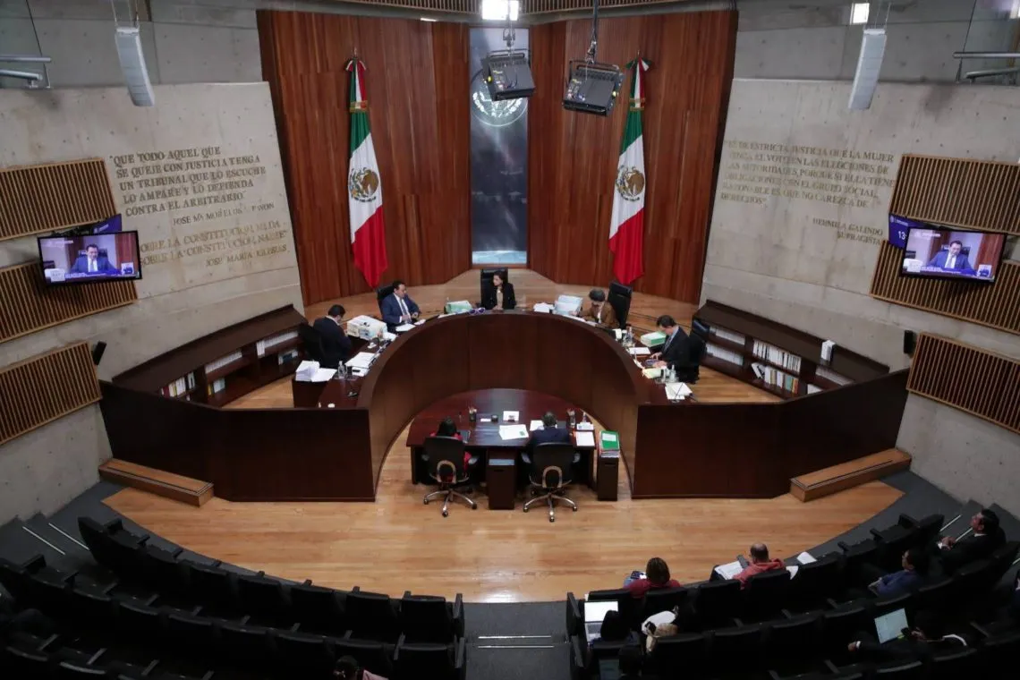 TEPJF Niega Medidas Afirmativas a Población LGBTTTIQNB+