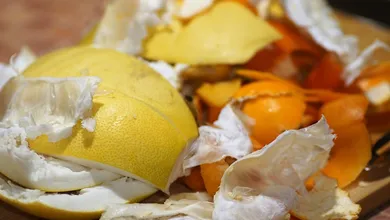 Noticias basura en electricidad | La Jornada Estado de México