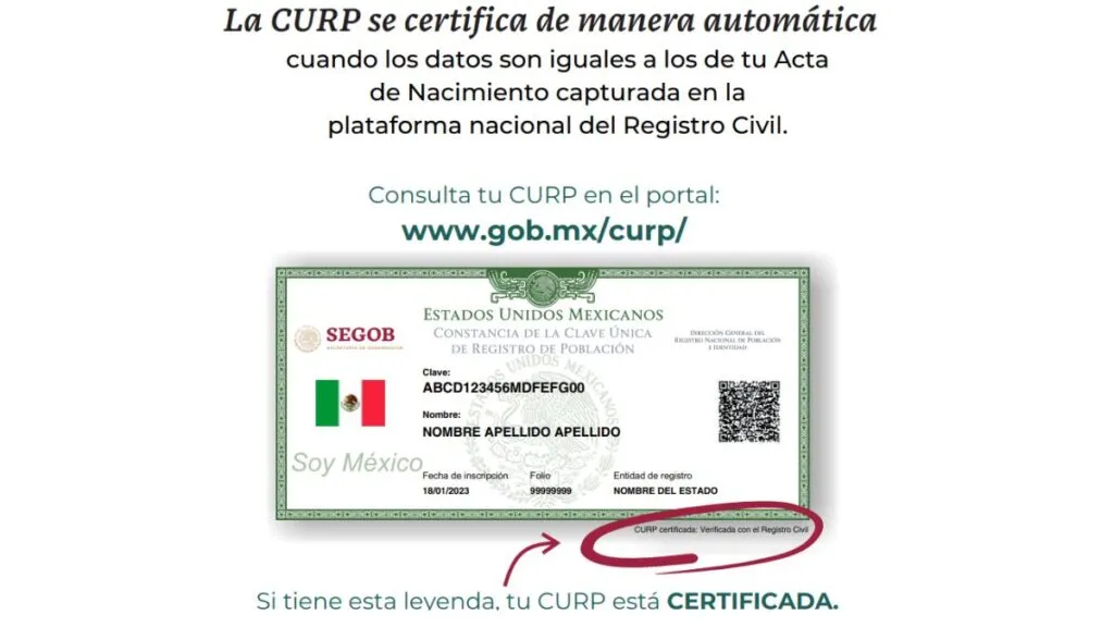 ¿Cómo saber si la CURP está certificada para el ciclo 2025-2026 en Edomex? Aquí los detalles