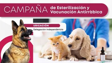 Campaña de esterilización llega gratis a la Delegación Independencia en Toluca. Aquí todos los detalles