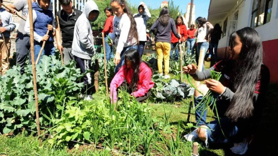 Texcaltitlán: Fortalece DIFEM alimentación familiar con huertos escolares y orientación nutricional
