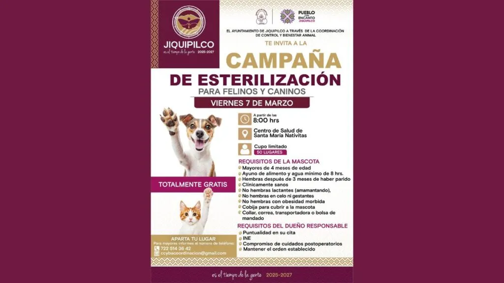 Campaña de esterilización gratis en Jiquipilco. Aquí los detalles