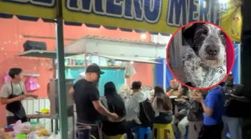 Comercios de Ixtapaluca financian esterilización y rescate de perritos de la calle