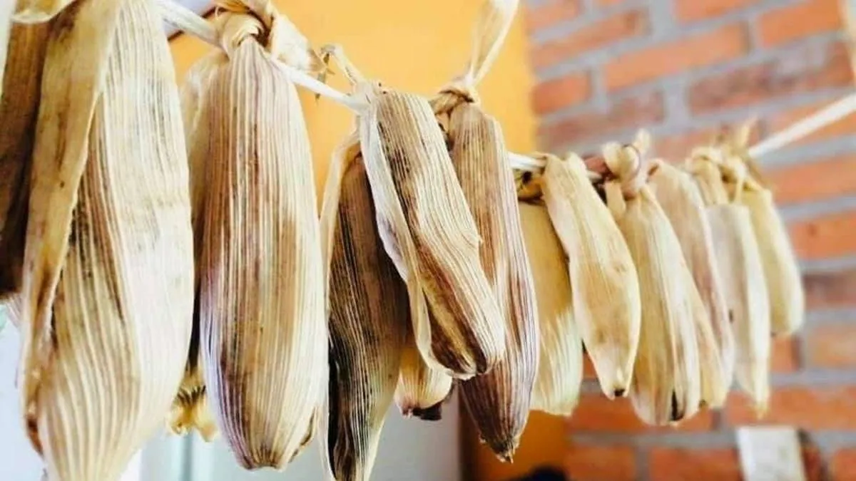 Tamal de Judas, un antojito muy teotihuacano